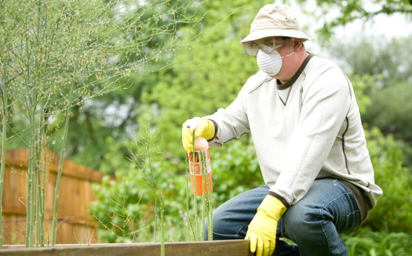 Sch&auml;dlingsbek&auml;mpfung